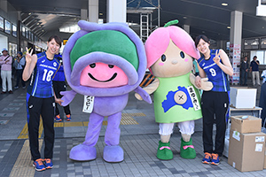埼玉上尾メディックス