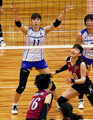 埼玉上尾メディックス