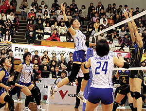 埼玉上尾メディックス