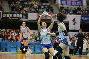 埼玉上尾メディックス