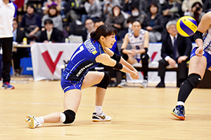 埼玉上尾メディックス