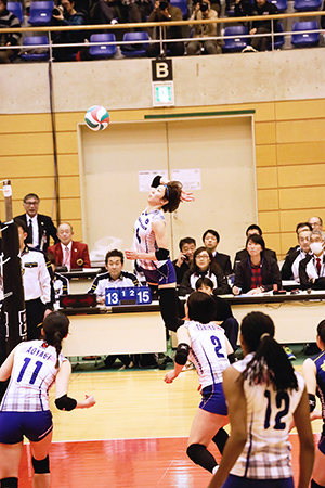 埼玉上尾メディックス