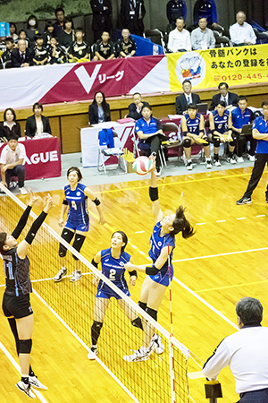 埼玉上尾メディックス
