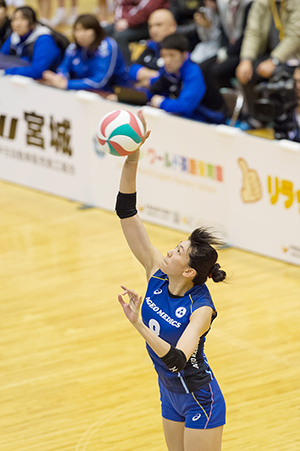 埼玉上尾メディックス