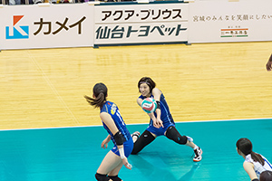 埼玉上尾メディックス
