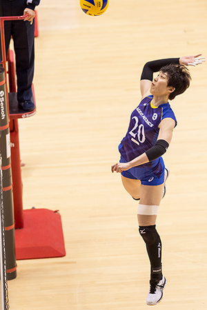 埼玉上尾メディックス