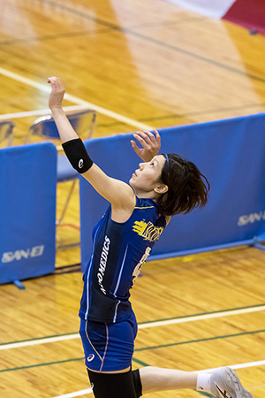 埼玉上尾メディックス