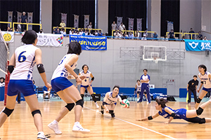 埼玉上尾メディックス