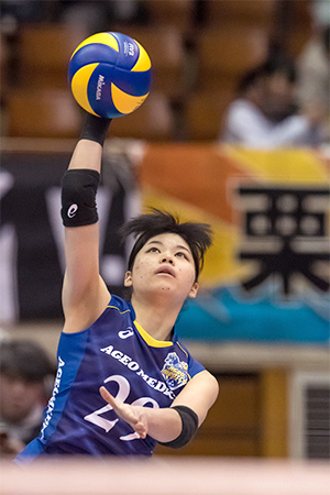 埼玉上尾メディックス