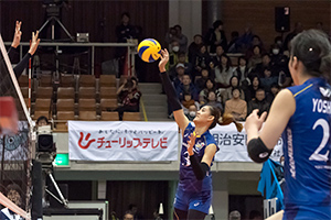 埼玉上尾メディックス
